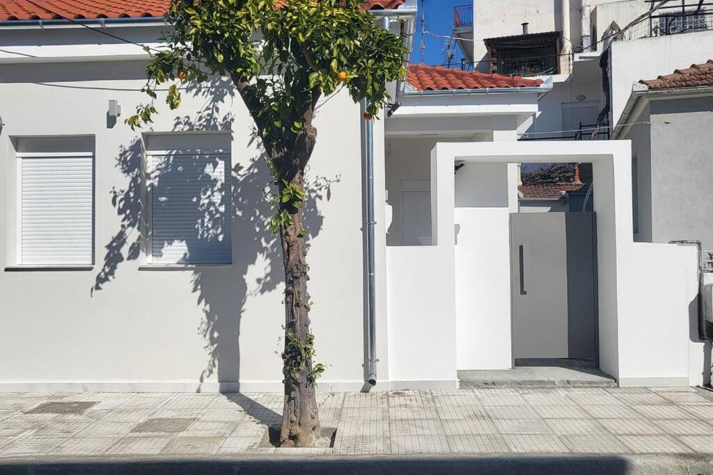 Φιλόξενο Σπίτι Στο Βόλο Villa Volos Exterior photo